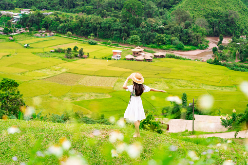 Young happy woman tourist enjoying and relaxing with beautiful landscape view rice paddy field while traveling at Nan, Thailand