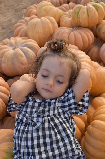 A young female child is seated in the midst of an autumnal pumpkin patch, situated in a lush green field