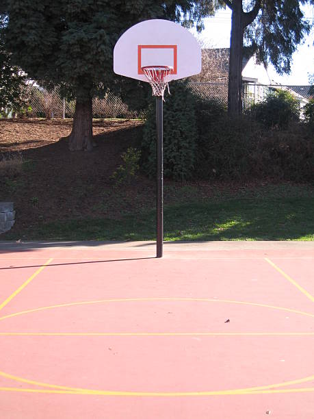 istock looking at a basketball hoop 176835384