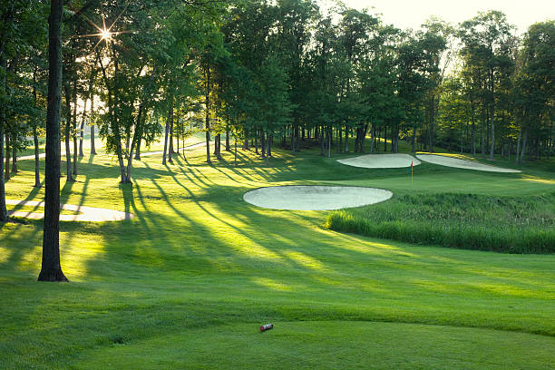 Golf green and tee box in late afternoon sunlight