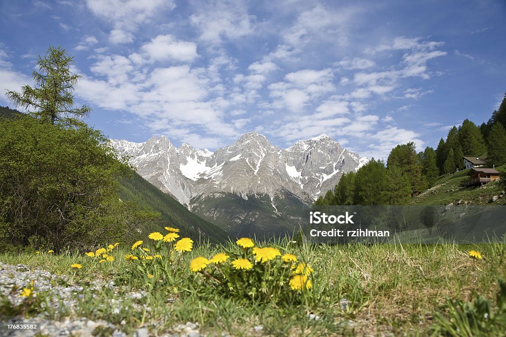 Cena de montanha - Foto de stock de Alpes europeus royalty-free