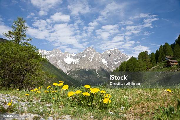 Foto de Cena De Montanha e mais fotos de stock de Alpes europeus - Alpes europeus, Cabeça da flor, Campo