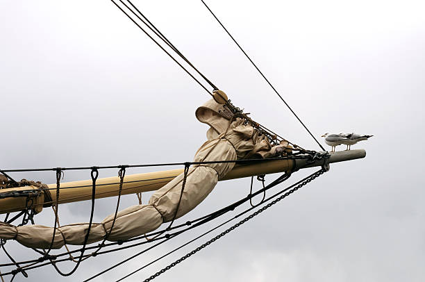 Brig Rigged 200+ Brig Rigged Stock Photos, Pictures & Royalty-Free Images - iStock