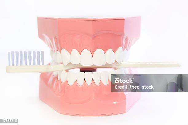 Denture Mit Zahnbürste Stockfoto und mehr Bilder von Beißen - Beißen, Bizarr, Zahnarztausrüstung