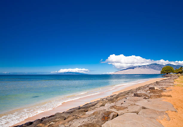 istock Beach at Kalama Park on Maui 176837133