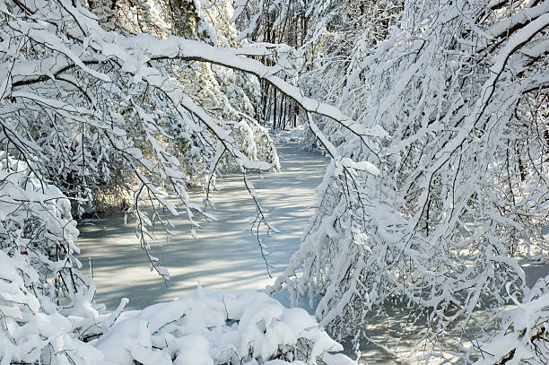Tranquil frozen snowy stream stock photo