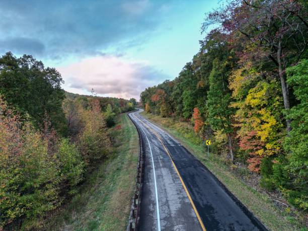 istock a empty highway with colorful trees along it as seen from a bird's eye 1768379786