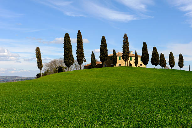 istock Farmehouse with cypress trees and misty sky, 176838003