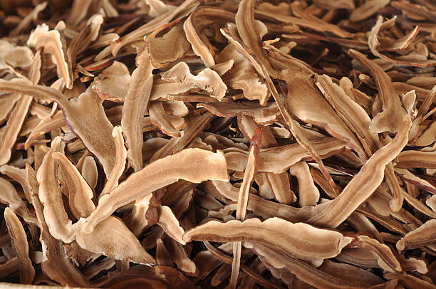 istock Mushroom Lingzhi Dry Many 176838224