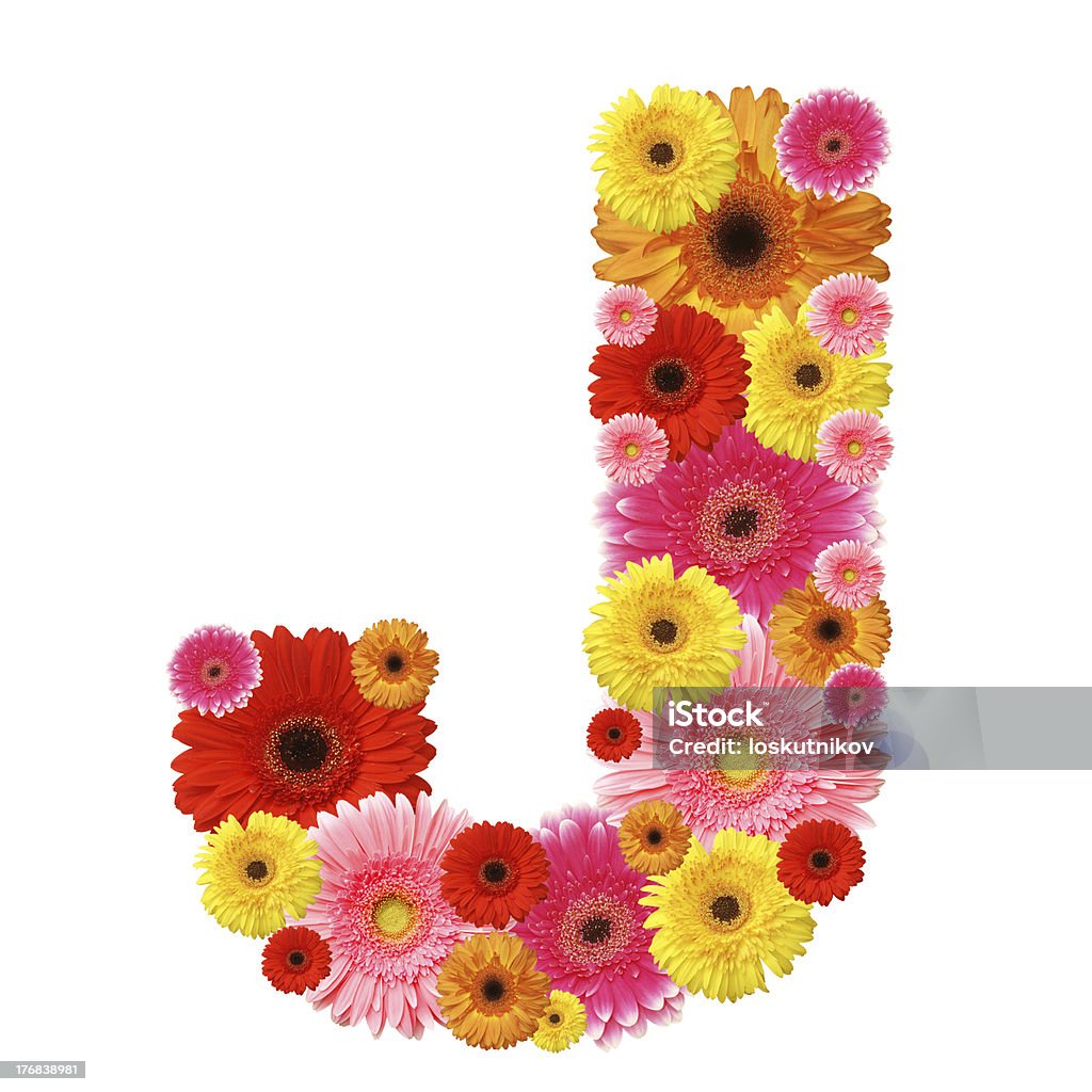 abc "J, flower alphabet isolated on white" Flower Stock Photo