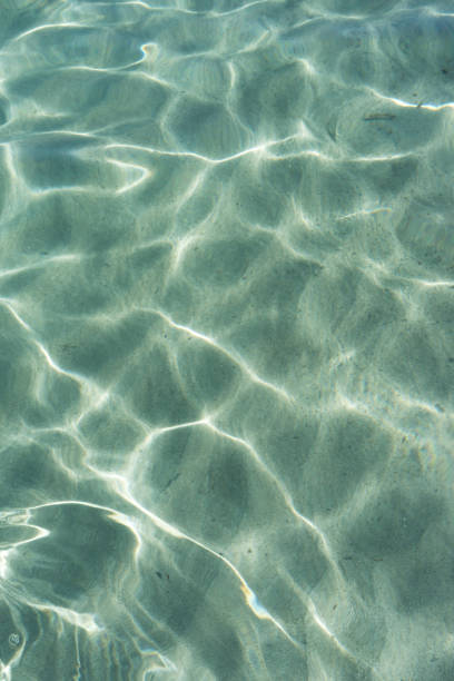 istock The transparency of sea water in summer 1768389889