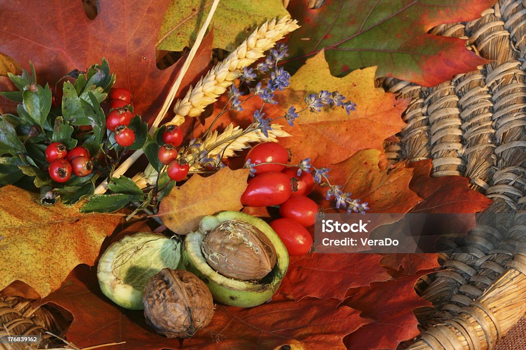 Still Life-autunno - Foto stock royalty-free di Appuntito