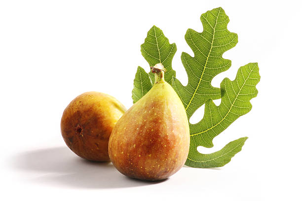 Fig with leaf stock photo