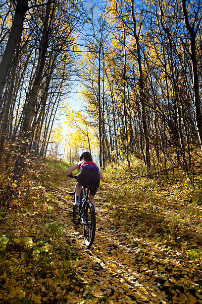 Woman mountain biking in autumn stock photo