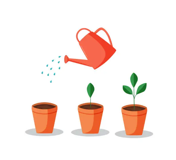 Vector illustration of A watering can waters a potted plant. Vector illustration of watering seedlings, home flowers.