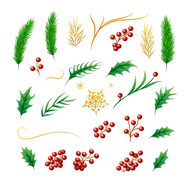 Vector illustration of Christmas Decoration Set, Holly, Spruce, Red Berries, Snowflakes, Golden Spikelets