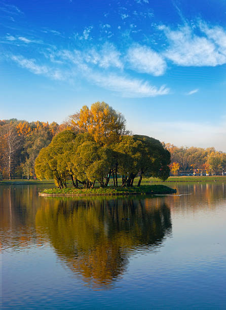 istock Idyllic  park area near blue lake 176840127
