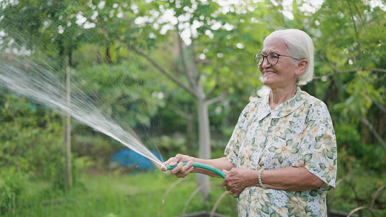 Happy Asian elderly woman watering plants in the backyard. Asian elderly woman holding garden hose watering plants green garden at home. Lifestyle of retirement concept