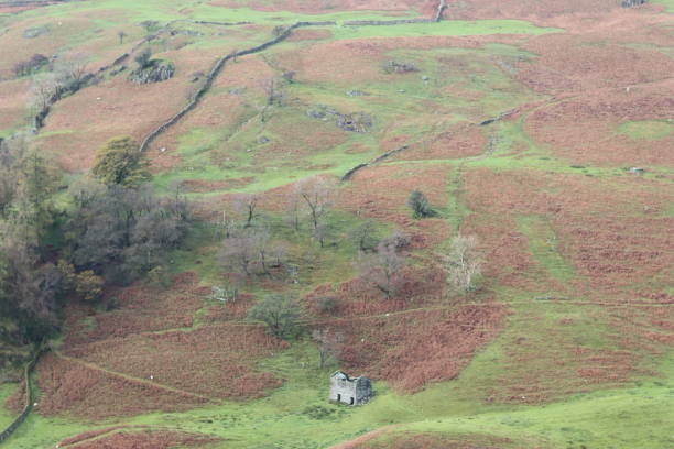 istock Abandoned stone barn on a bracken covered Lake District fell in autumn 1768412239
