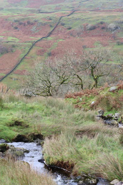 istock Stream trickling over a fell, with bracken covered hillside behind 1768412758