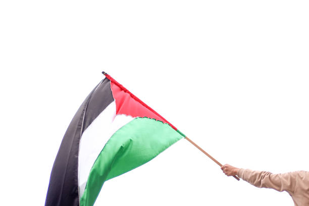 Flag of Palestine waving on wind and isolated on white background.
