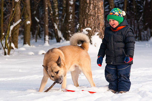 Dog and little boy in winter forest stock photo