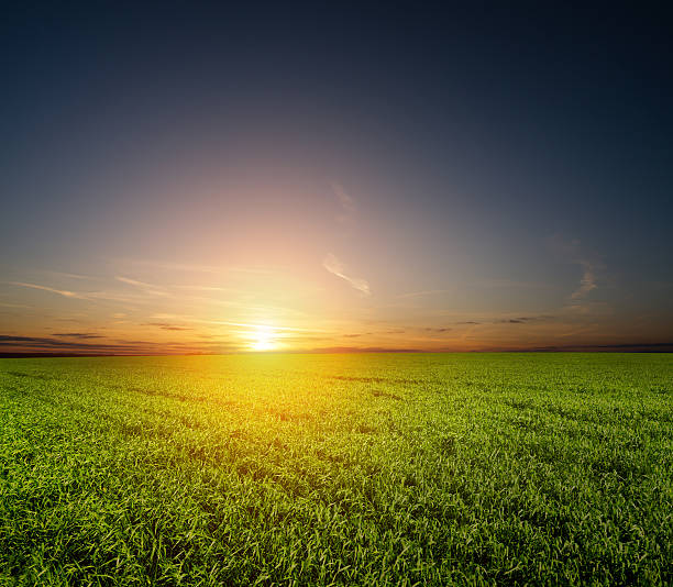 istock sunset and green field 176841386