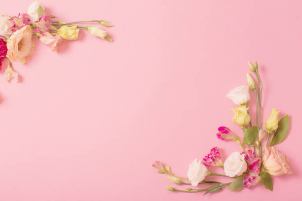 istock spring beautiful flowers on pink background 1768416034
