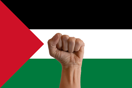 A fist raising up to support freedom a Palastine flag background