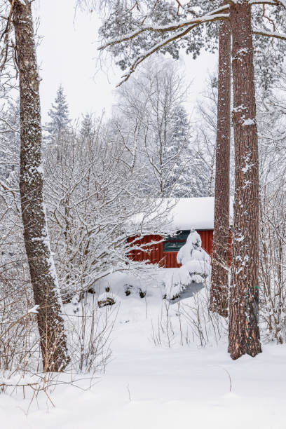 istock Red cottage in a beautiful winter forest 1768416584