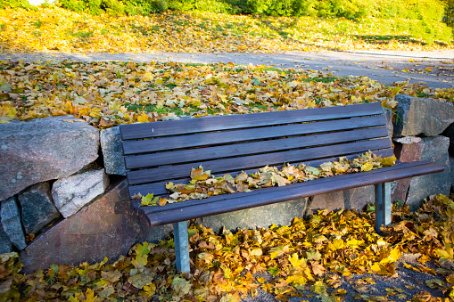 A view from behind the empty park bench overlooking the lake in the park on a sunny autumn morning.