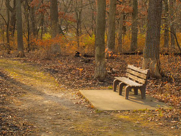 istock Rest stop for contemplation in woods 176842082