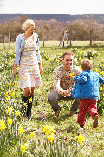 istock Young Family Walking Amongst Spring Daffodils 176842257