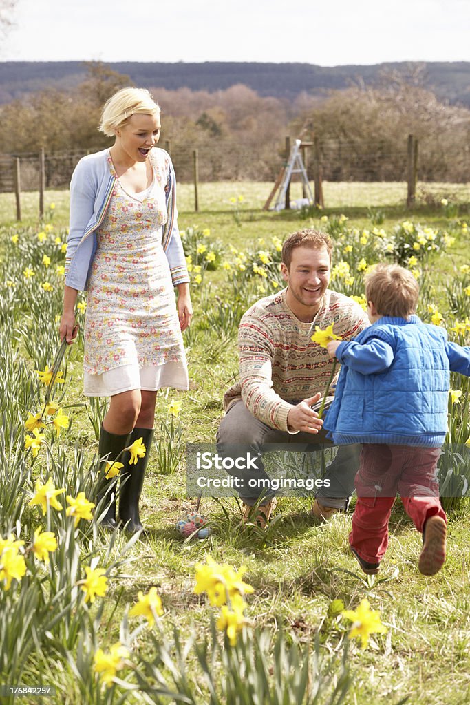 Família Jovem andando entre primavera narcisos - Foto de stock de 2-3 Anos royalty-free