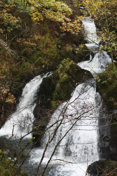 istock Large woodland waterfall surrounded by autumn trees 1768428179