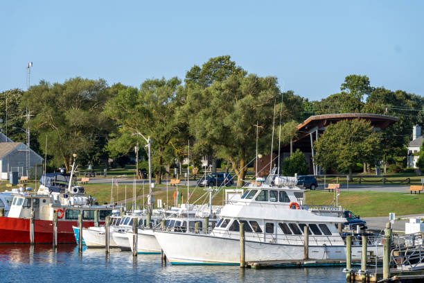 istock Falmouth harbour on Nantucket Sound 1768442000
