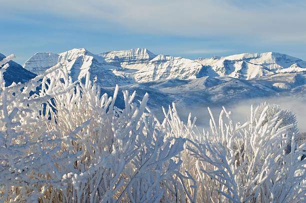 горы и hoarfrost скрытой полынь - arctic circle wintry landscape mountain mountain range стоковые фото и изображения