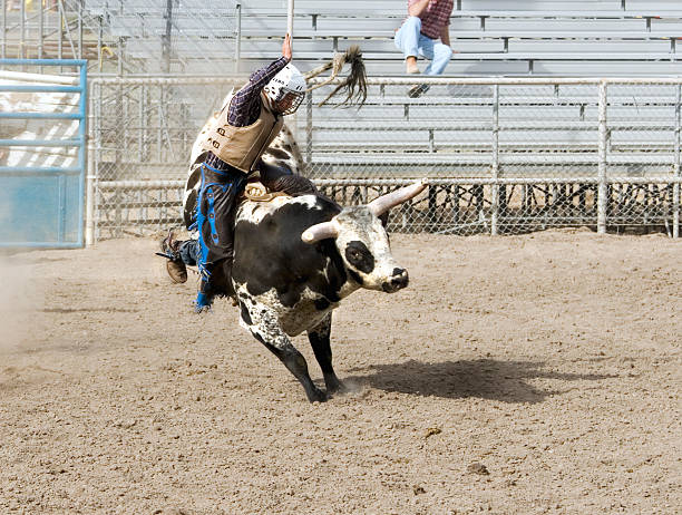 Galería de vaquero de Rodeo competencia Bull Rider - foto de stock