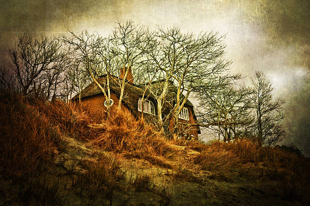 istock abandoned house in the dunes 176845581