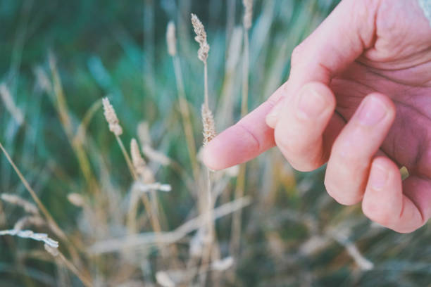 istock Man's hand touching a fragile spike 1768464656