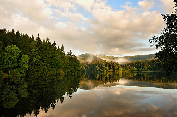 sösestausee de harz, alemanha. - germany reservoir water tree imagens e fotografias de stock