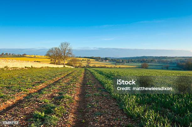 Idyllischen Ländlichen Landschaft Stockfoto und mehr Bilder von Agrarbetrieb - Agrarbetrieb, Anhöhe, Baum