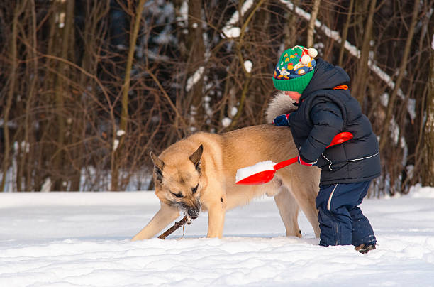 Dog and little boy playing in winter forest stock photo
