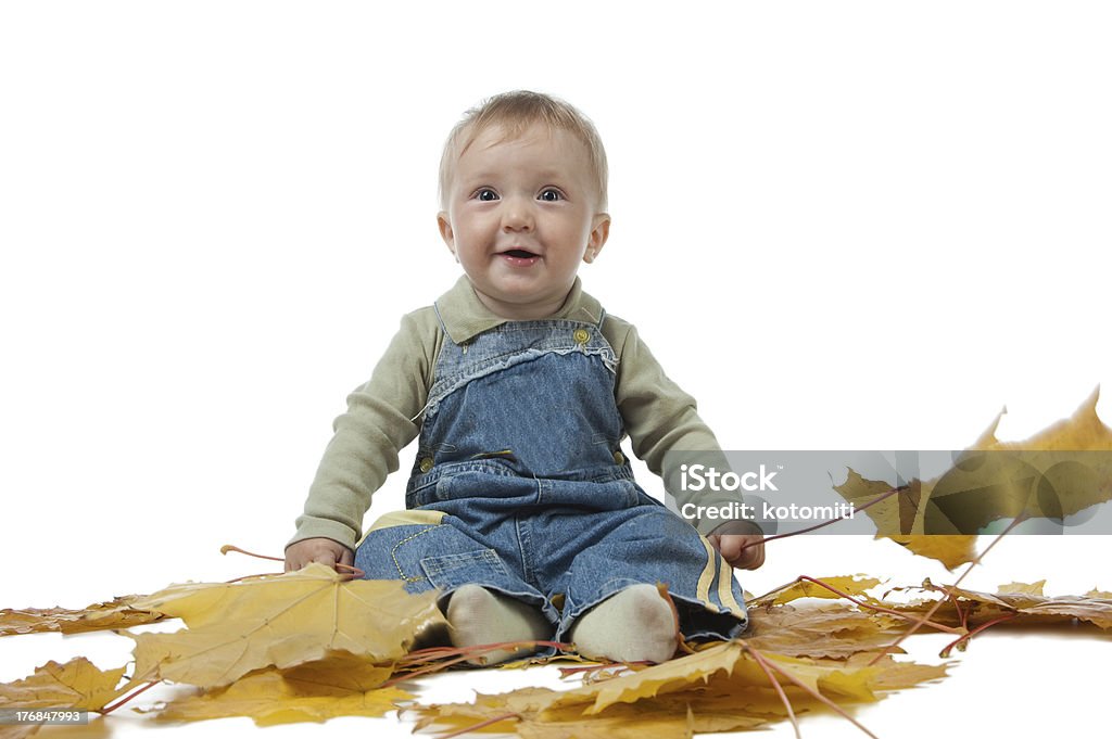 Mały chłopiec i żółty jesienią liście. - Zbiór zdjęć royalty-free (Chłopcy)