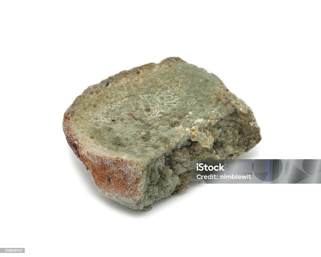 Mouldy pane, isolato - Foto stock royalty-free di Alimentazione non salutare