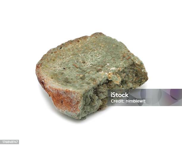 Mouldy Pane Isolato - Fotografie stock e altre immagini di Alimentazione non salutare - Alimentazione non salutare, Antigienico, Batterio