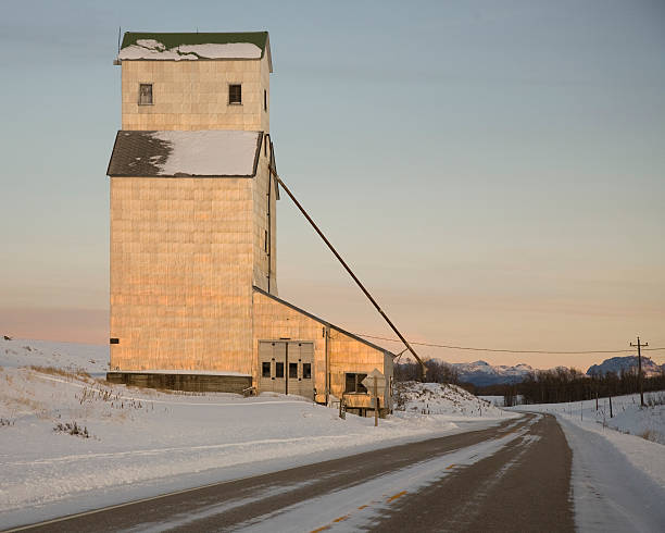 Silo building on a country road. This grain storage building loads trucks. ashton idaho stock pictures, royalty-free photos & images