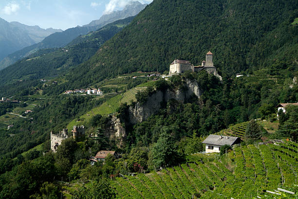 istock Italy, South Tyrol 176848571