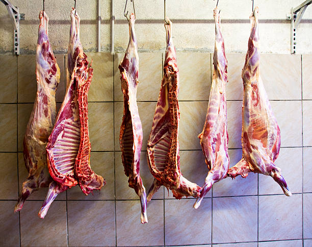 rohes fleisch hängen - dead animal butcher meat sheep stock-fotos und bilder