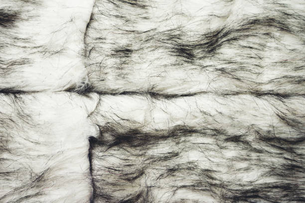 istock Animal fur in fashion background 1768487521